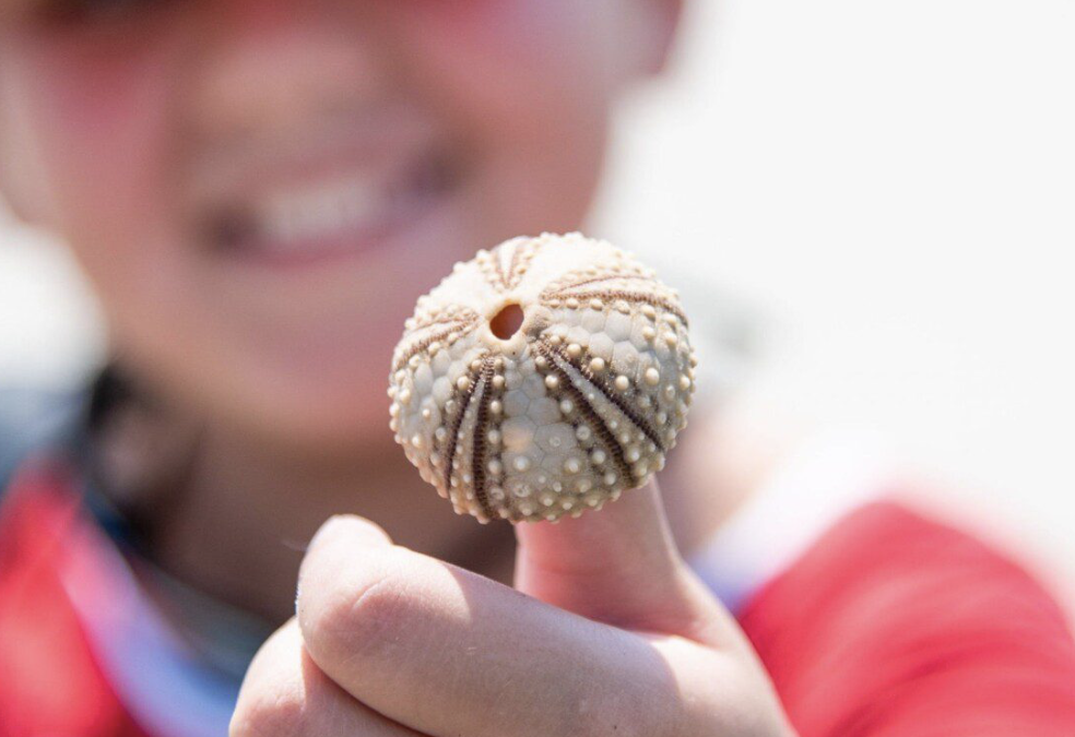 St. Helena Island Young Naturalist Camp